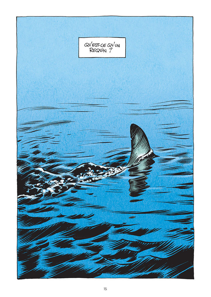 La petite Bédéthèque des Savoirs, Tome 3: Les requins: Les connaître pour les comprendre