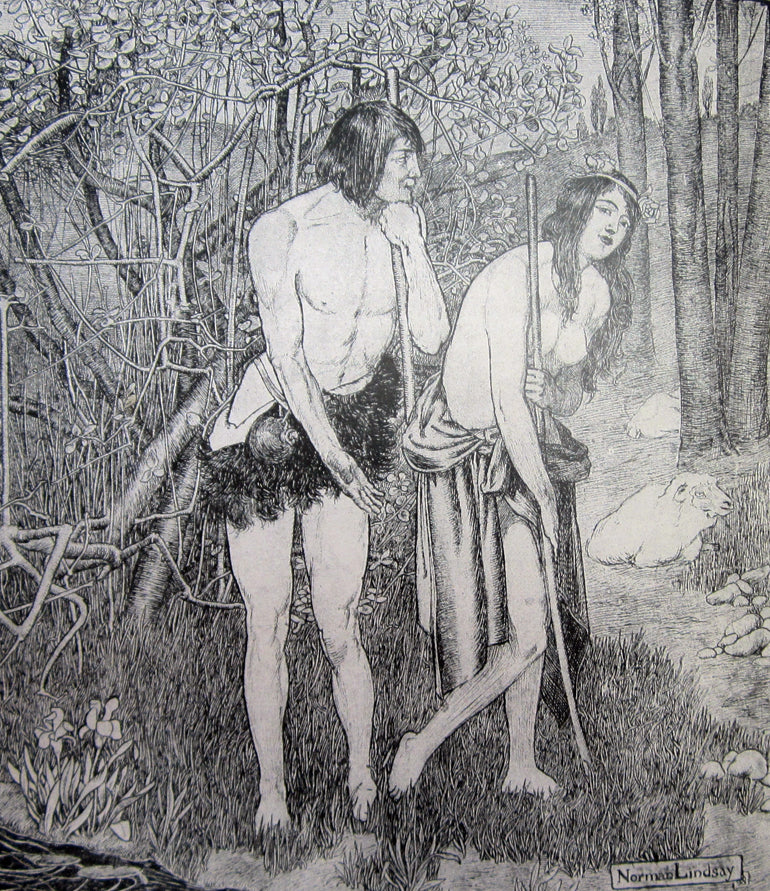 The Pen Drawings of Norman Lindsay: Special Number of Art in Australia
