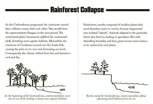 The Paleozoic Book 4: The Carboniferous