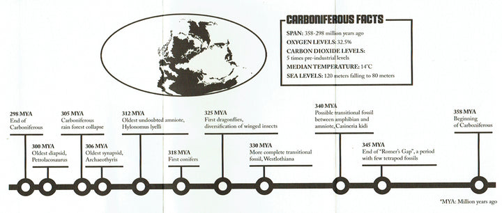 The Paleozoic Book 4: The Carboniferous