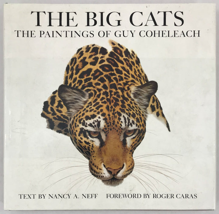 The Big Cats - Inscribed by the Artist