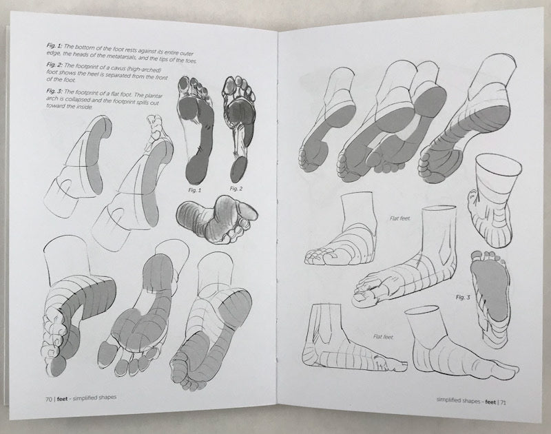 Morpho: Hands and Feet: Anatomy for Artists