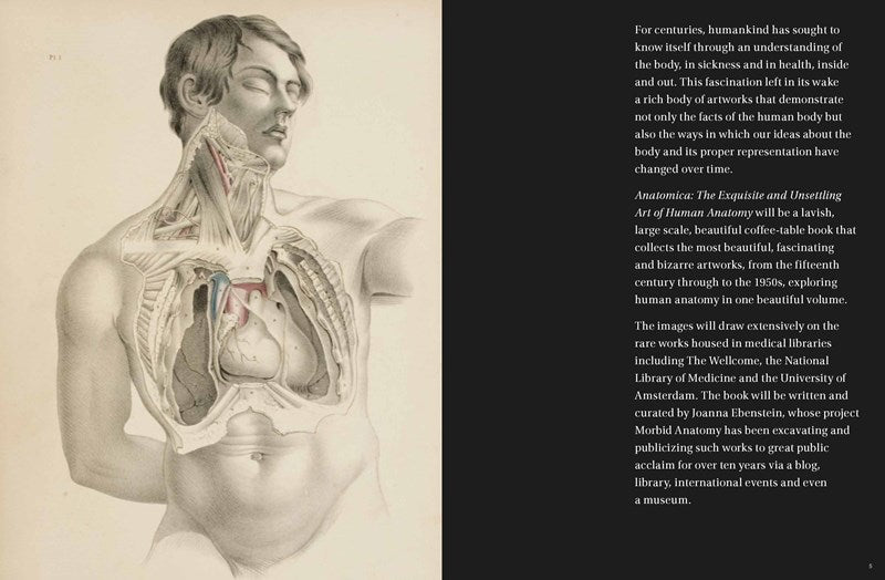 Anatomica: The Exquisite and Unsettling Art of Human Anatomy