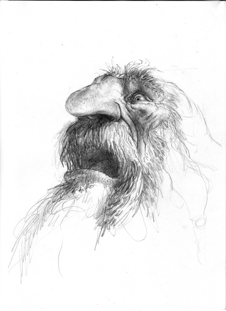 Sketching from the Imagination: An Insight Into Creative Drawing