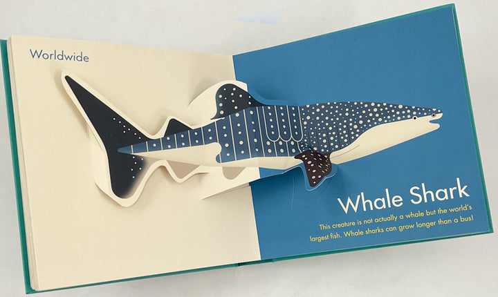 My First Pop-Up Endangered Animals