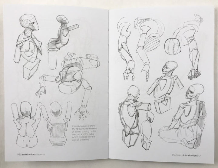 Morpho: Simplified Forms: Anatomy for Artists