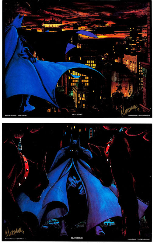 The Batman Portfolio