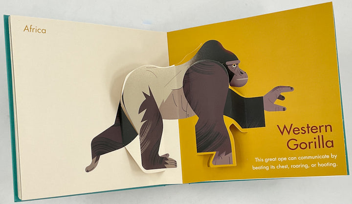 My First Pop-Up Endangered Animals