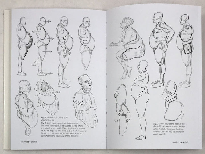 Morpho: Fat and Skin Folds: Anatomy for Artists