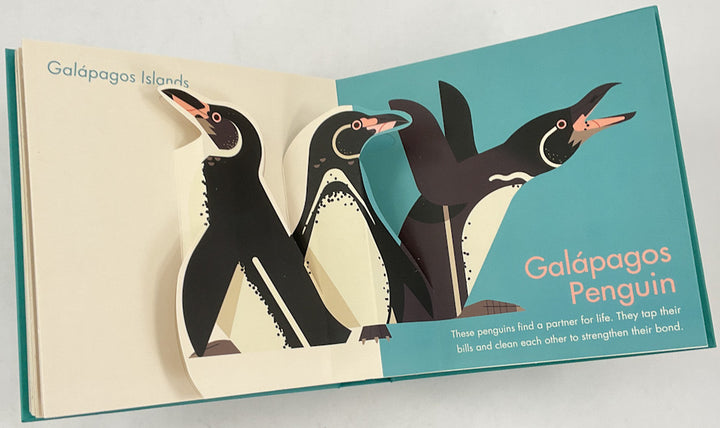 My First Pop-Up Endangered Animals
