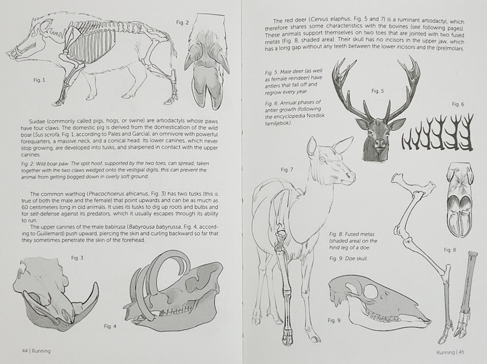 Morpho: Mammals: Elements of Comparative Morphology