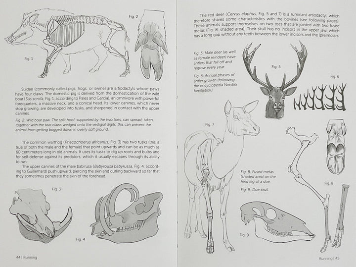 Morpho: Mammals: Elements of Comparative Morphology
