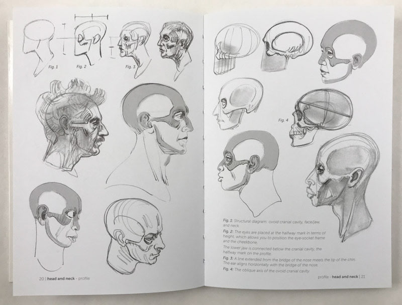 Morpho: Skeleton & Bone Reference Points: Anatomy for Artists