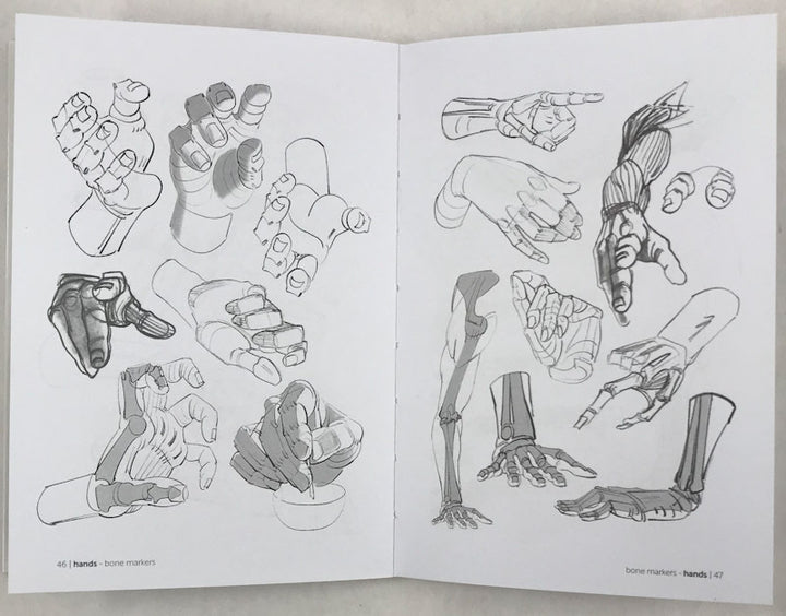 Morpho: Hands and Feet: Anatomy for Artists