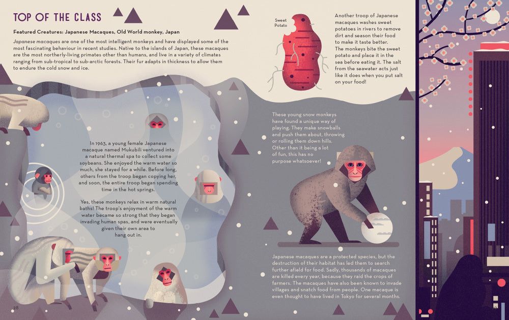 Mad About Monkeys
