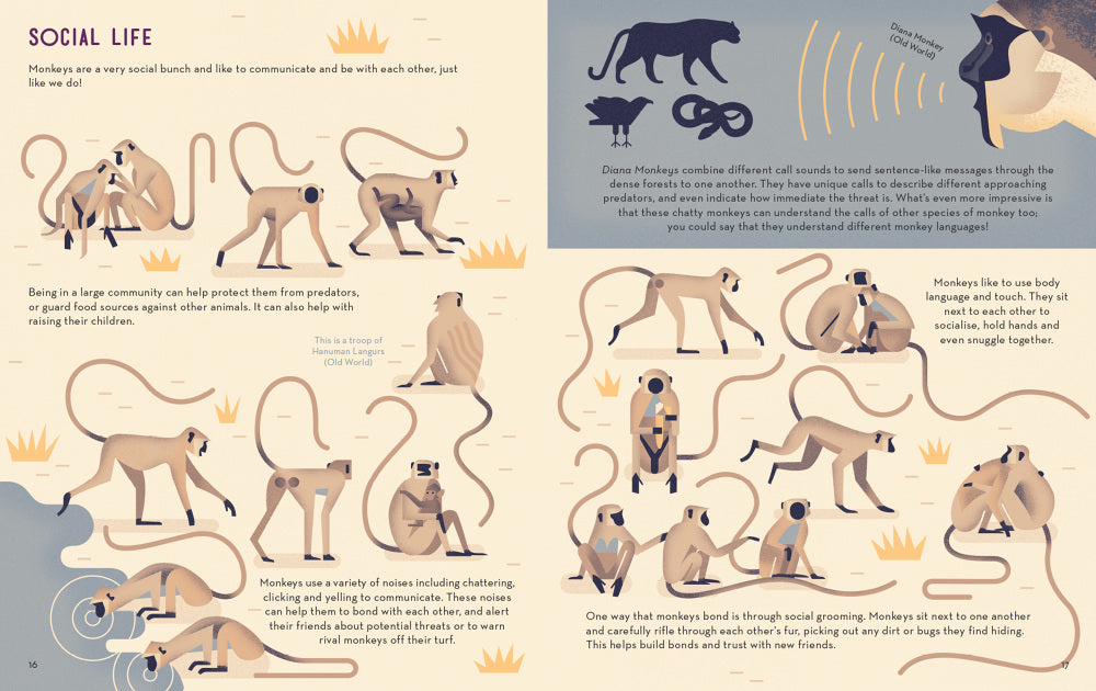 Mad About Monkeys