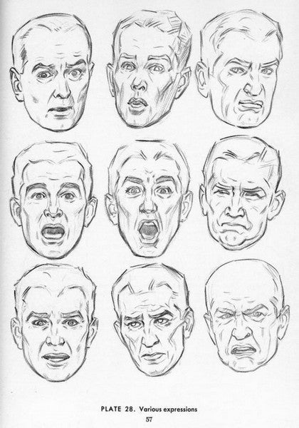 Drawing the Head and Hands