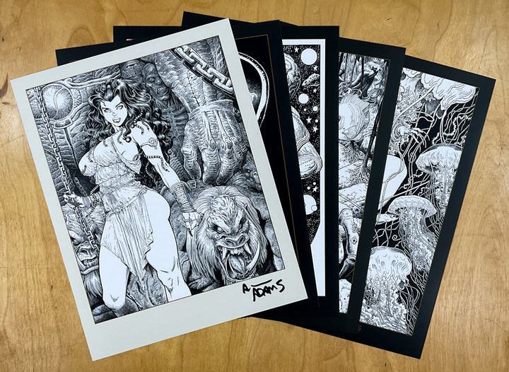 The Art of Arthur Adams - Hardcover Deluxe Signed Edition with the Kickstarter Extras