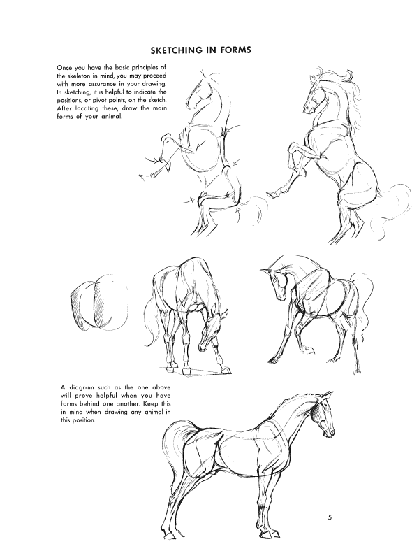 The Art of Animal Drawing: Construction, Action Analysis, Caricature