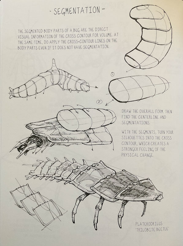 The Dynamic Bible (Revised Edition) Signed with a Drawing