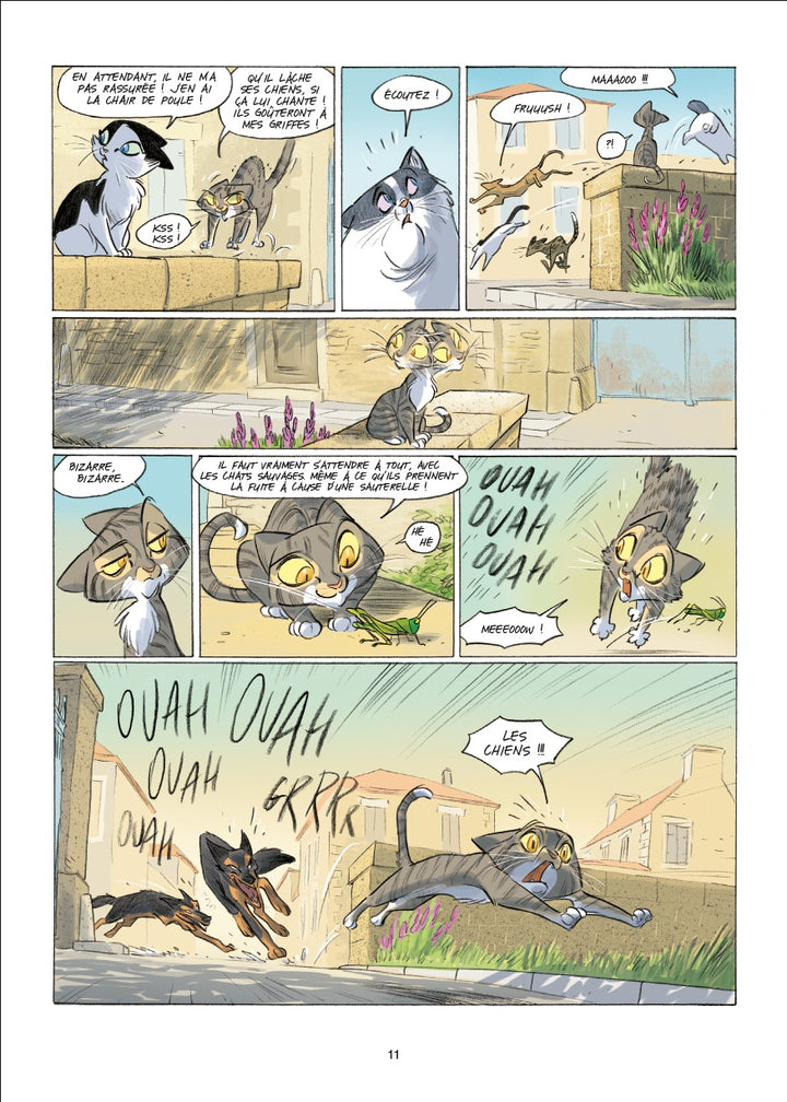 Leonid, les aventures d'un chat, Tome 1 - Les Deux Albinos