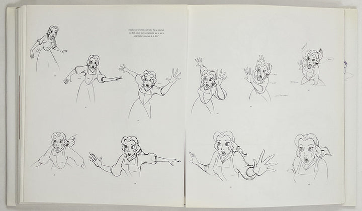 Les Heroines Disney: Dans Les Longs Metrages d'Animation