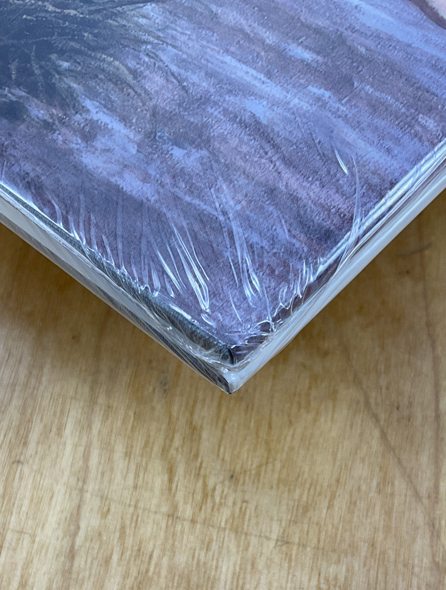 Age of Innocence: The Romantic Art of Jeffrey Jones - Hardcover