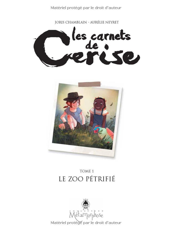 Les Carnets de Cerise, Tome 1: Le Zoo Petrifie