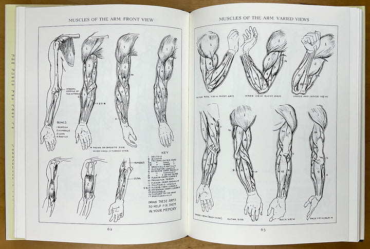 Figure Drawing for All It's Worth