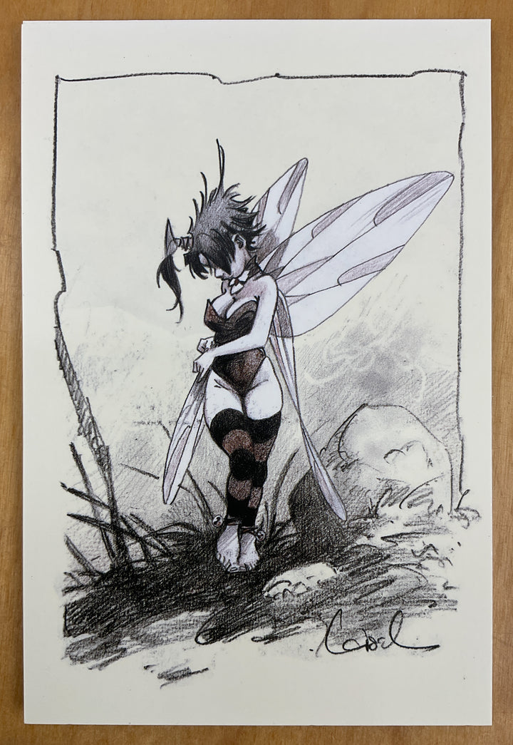 Tinkerbell Postcard Set