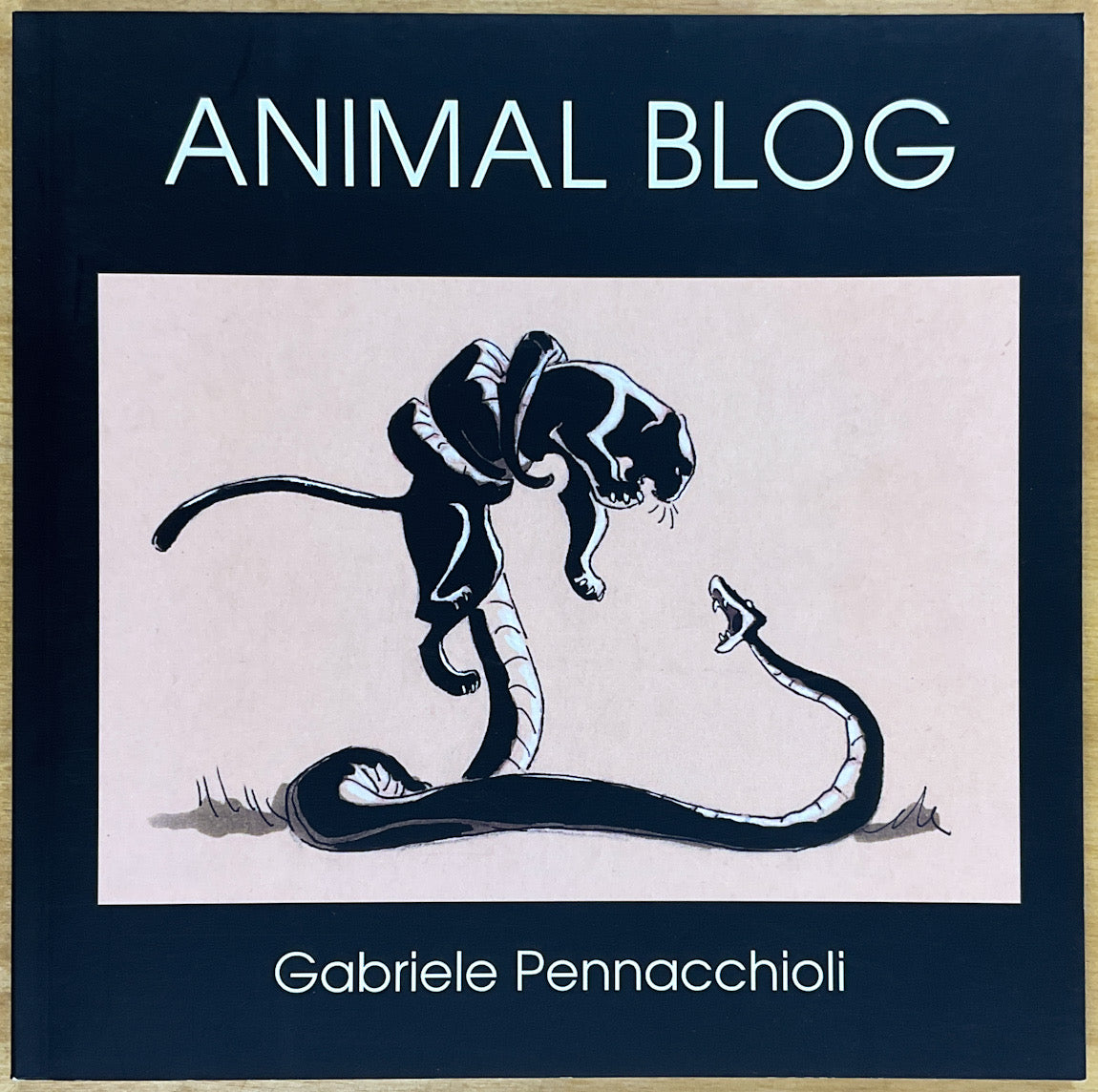 Animal Blog - Signed – Stuart Ng Books