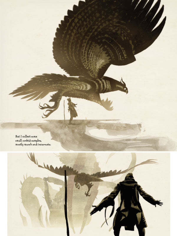 Raptor A Sokol Graphic Novel