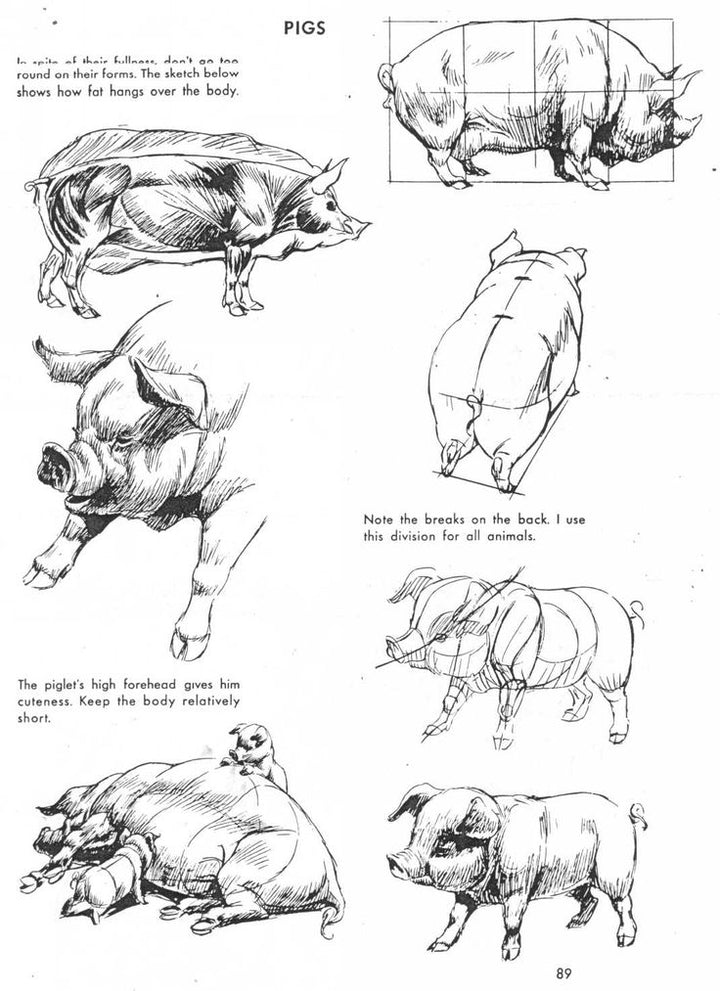 The Art of Animal Drawing: Construction, Action Analysis, Caricature
