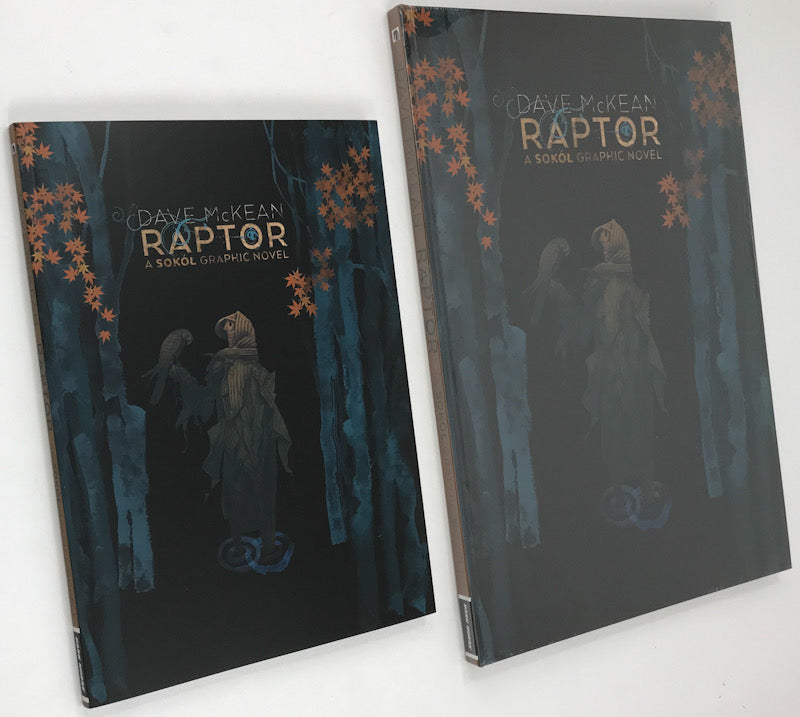 Raptor A Sokol Graphic Novel