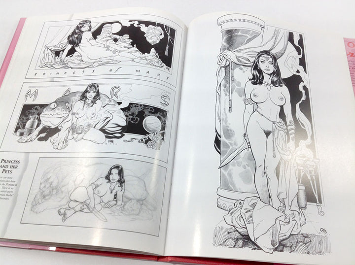 Frank Cho: Illustrator - Hardcover First