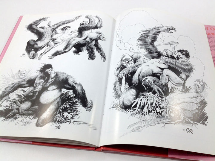 Frank Cho: Illustrator - Hardcover First