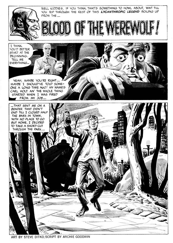 Creepy Presents Steve Ditko - Hardcover First