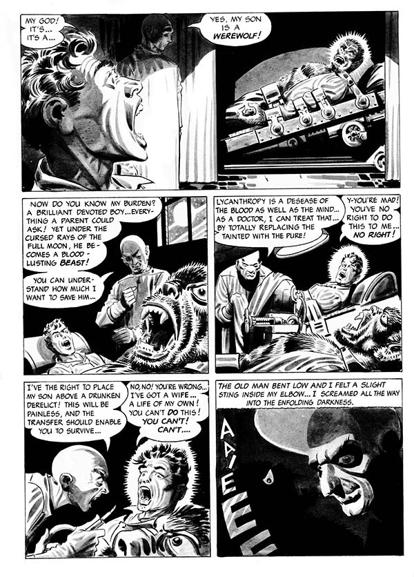 Creepy Presents Steve Ditko - First Printing