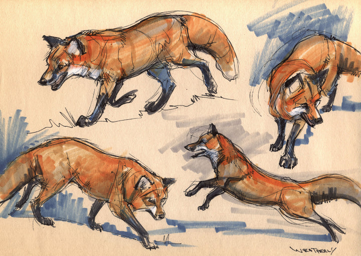 Animal Nature: The Art of Joe Weatherly, Vol. 2