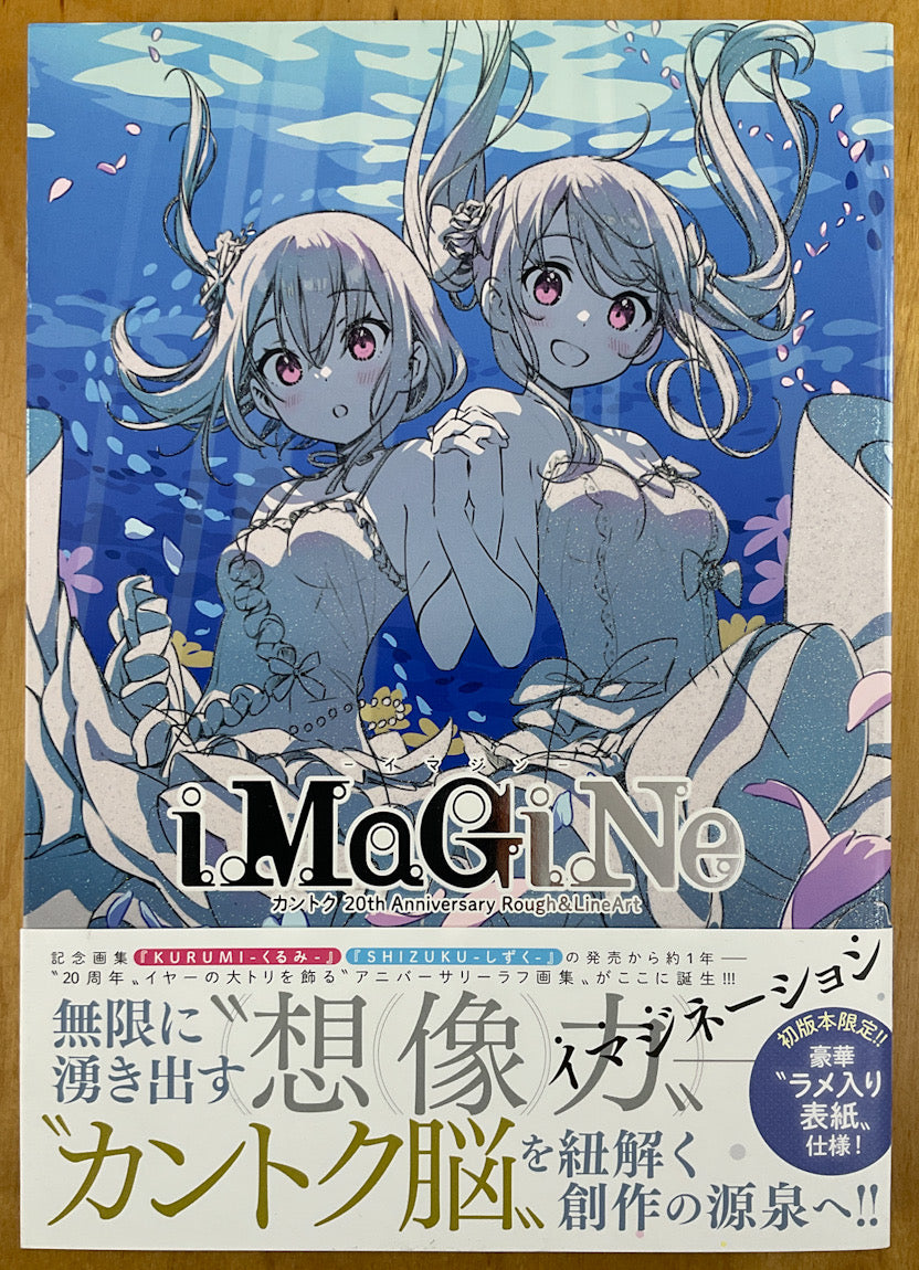 Imagine - iMaGiNe Kantoku 20th Anniversary Rough & Line Art