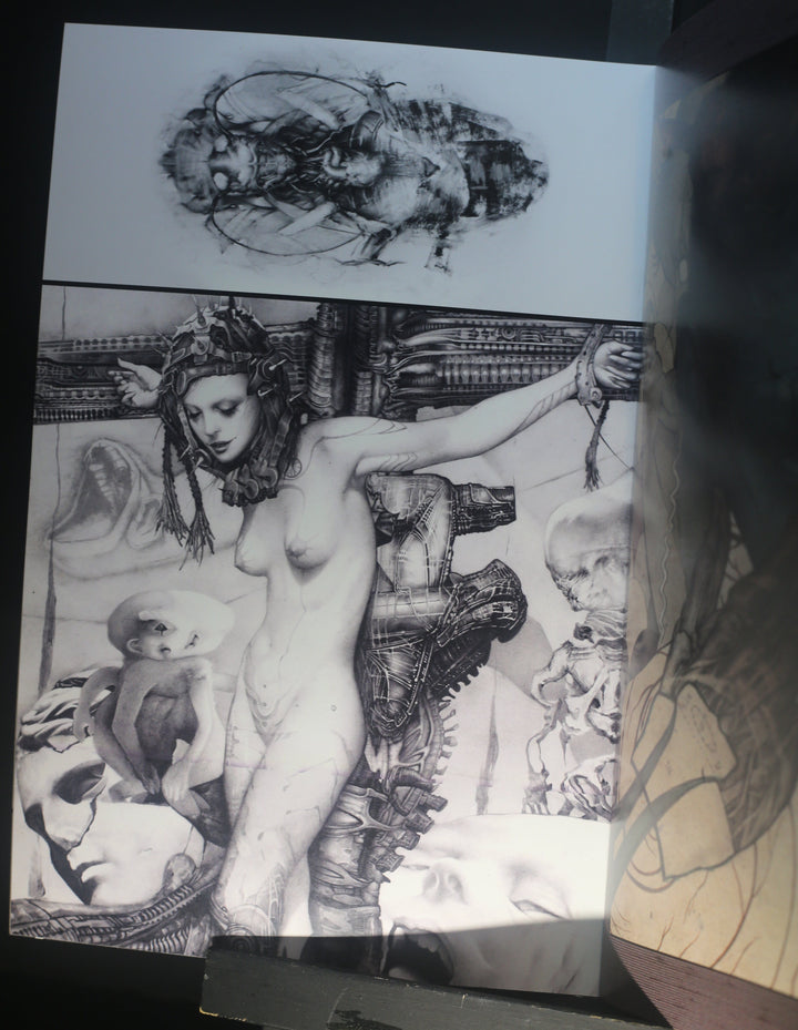 3Q - Variant Cover - Signed & Numbered