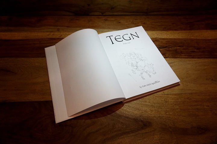 TEGN: Book 1 - Even Mehl Amundsen