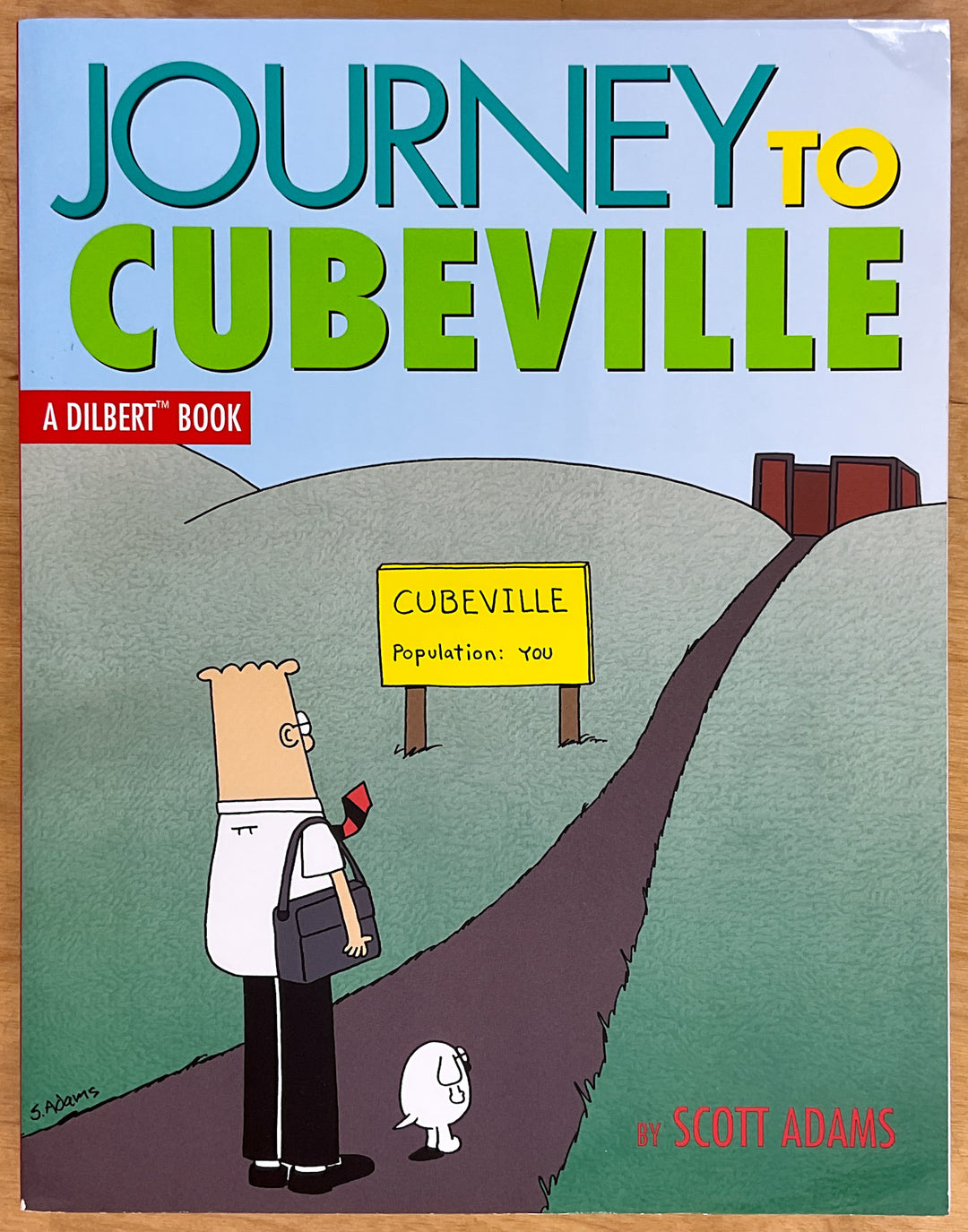 Journey to Cubeville - First