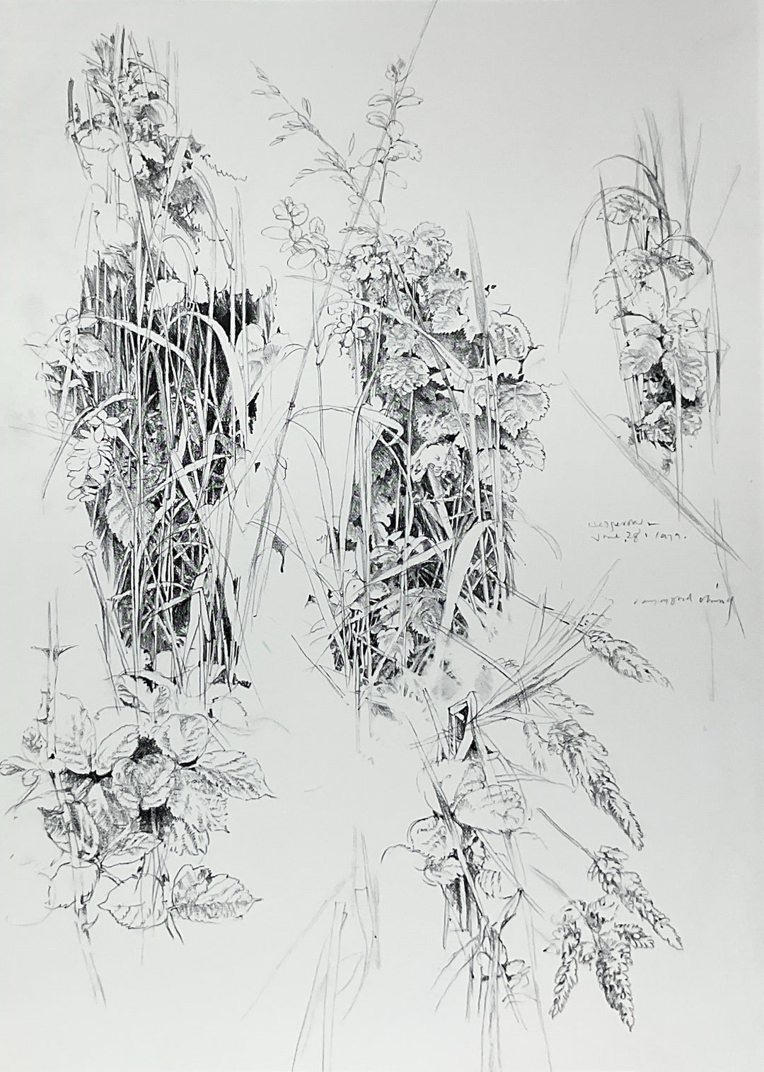 Art of Ray Ching: Paintings and Drawings 1972-1979