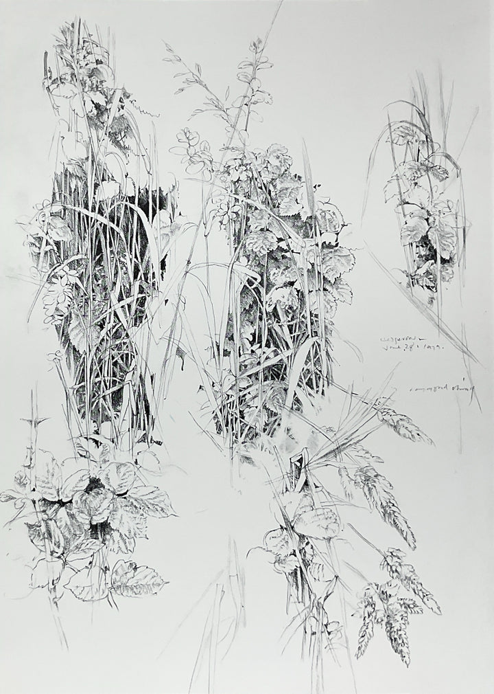 Art of Ray Ching: Paintings and Drawings 1972-1979