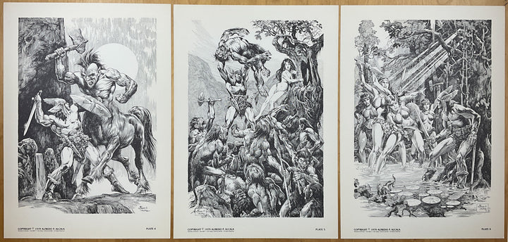 Voltar Portfolio - Signed & Numbered