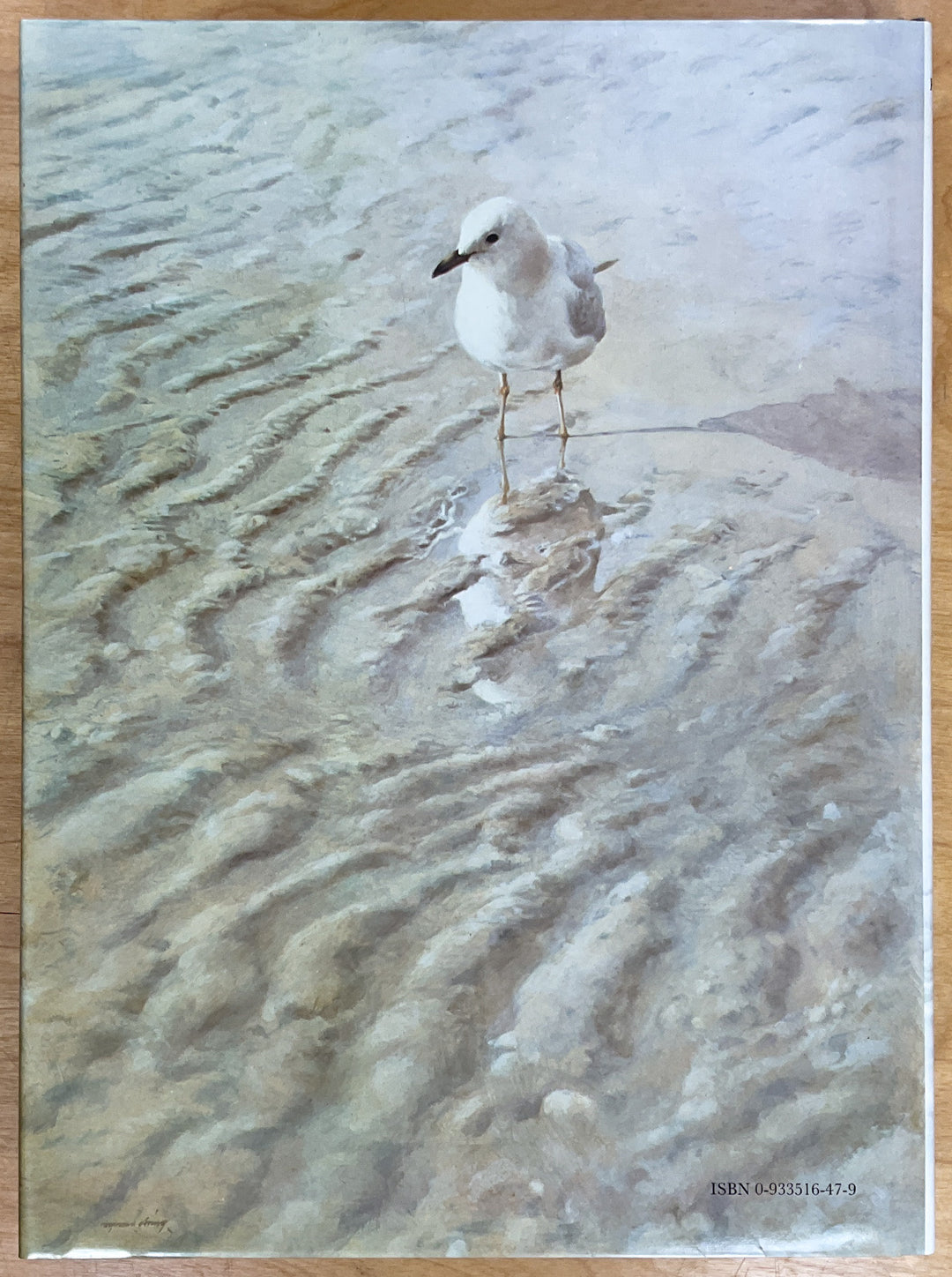 Art of Ray Ching: Paintings and Drawings 1972-1979