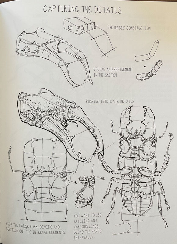 The Dynamic Bible (Revised Edition) Signed with a Drawing