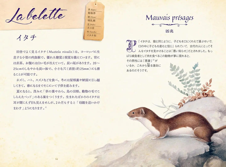 Les animaux fabuleux: legendes et superstitions