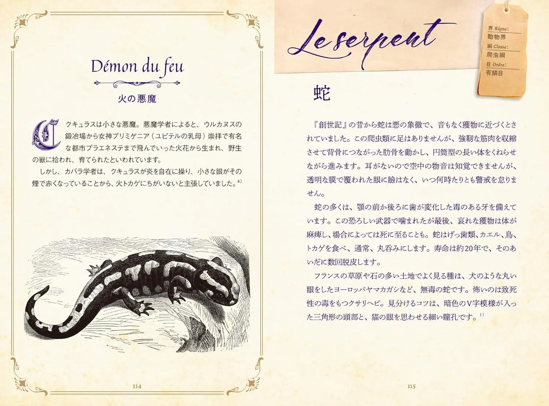 Les animaux fabuleux: legendes et superstitions